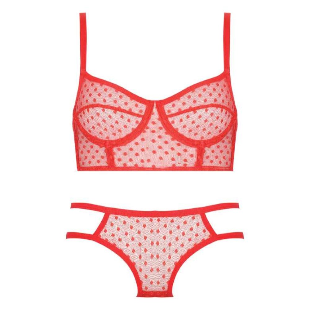 Silk & Blue Women's Tulle Bra-Slip Set Red