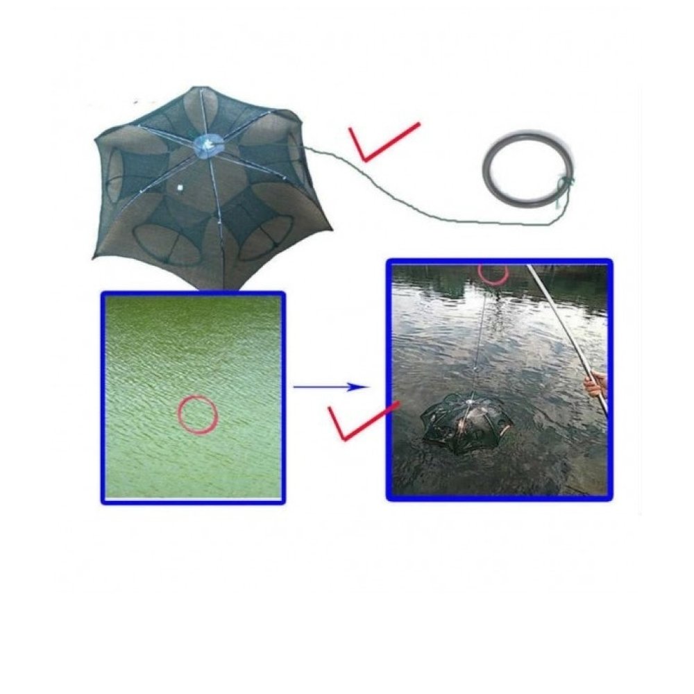 6 Entry Folding Fish Trap
