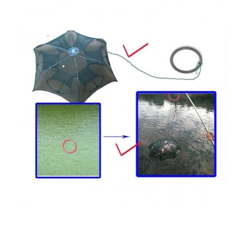 6 Entry Folding Fish Trap