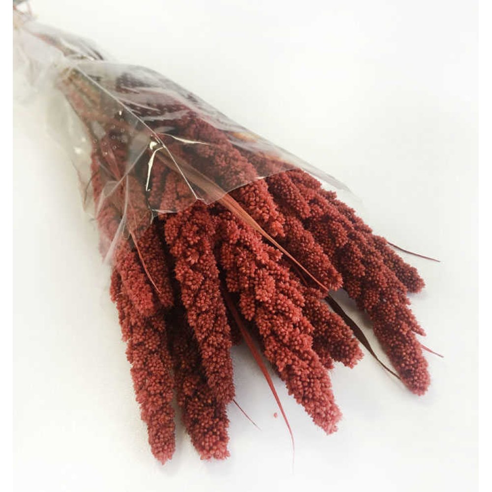 Flower Natural Steria Beads Red Pk:100 Gram Kl:216