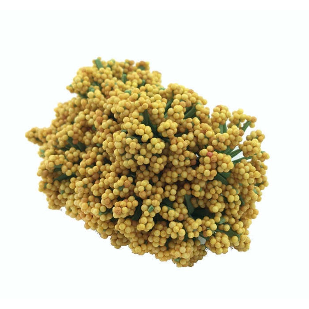 Cipso Flower Gold Pk:144 Kl:100