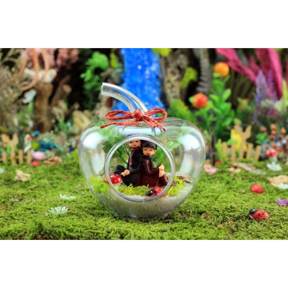 Apple Shaped Terrarium Fanus
