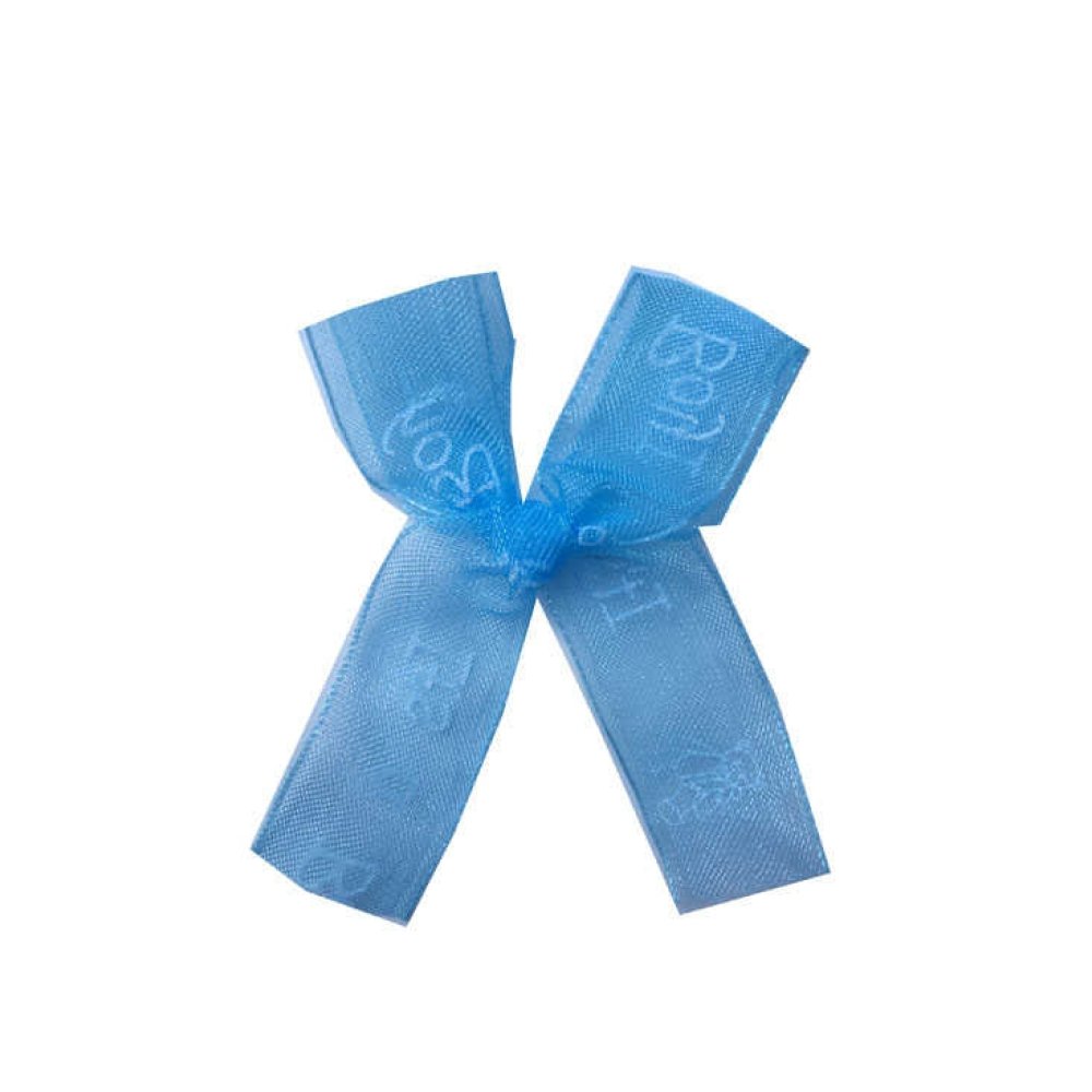 Bowt Organze It's Baby Blue P100-150