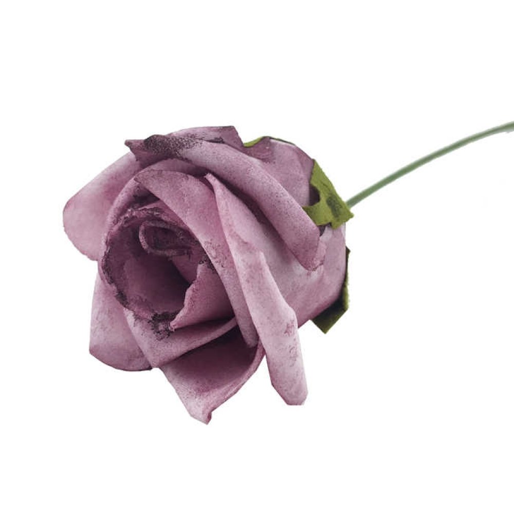 Rose Single Oversize Size Dry Rose Pk:20 Kl:100