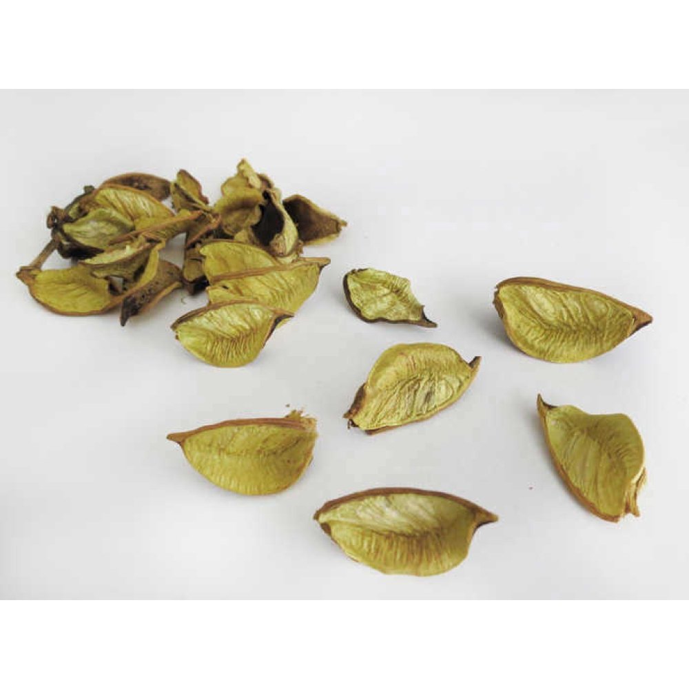 Rose Leaf Natural Smell Natural Color Pk:1(1000Gr) Kl:20