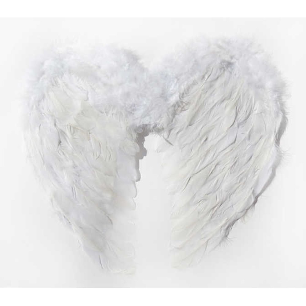 Angel Wing Small Feather 55X35Cm White P1-100