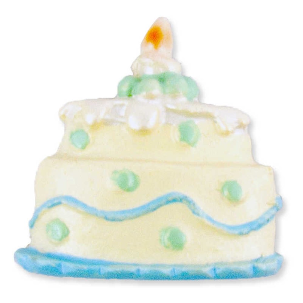 Cake Magnet P50-2400