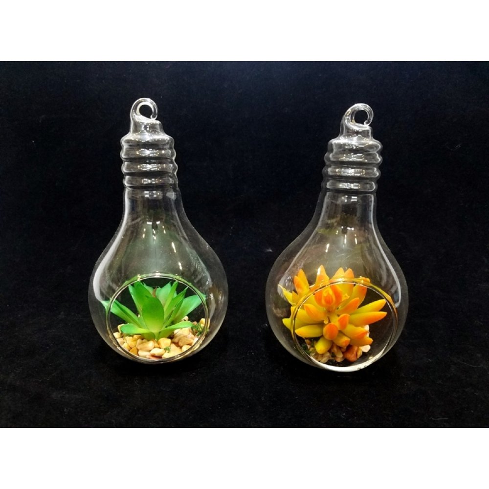 Wholesale Bulb Shaped Glass Terrarium Trinket