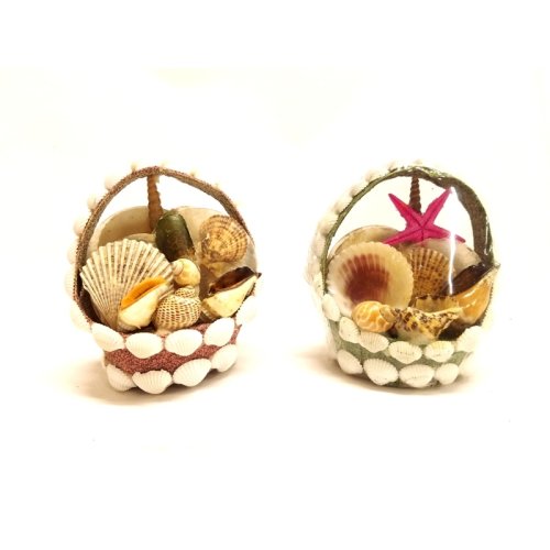 Wholesale Sea Shell Decorative Basket