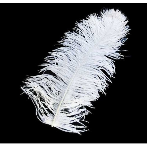 Wholesale Long White Feather For Pen 30x35 cm