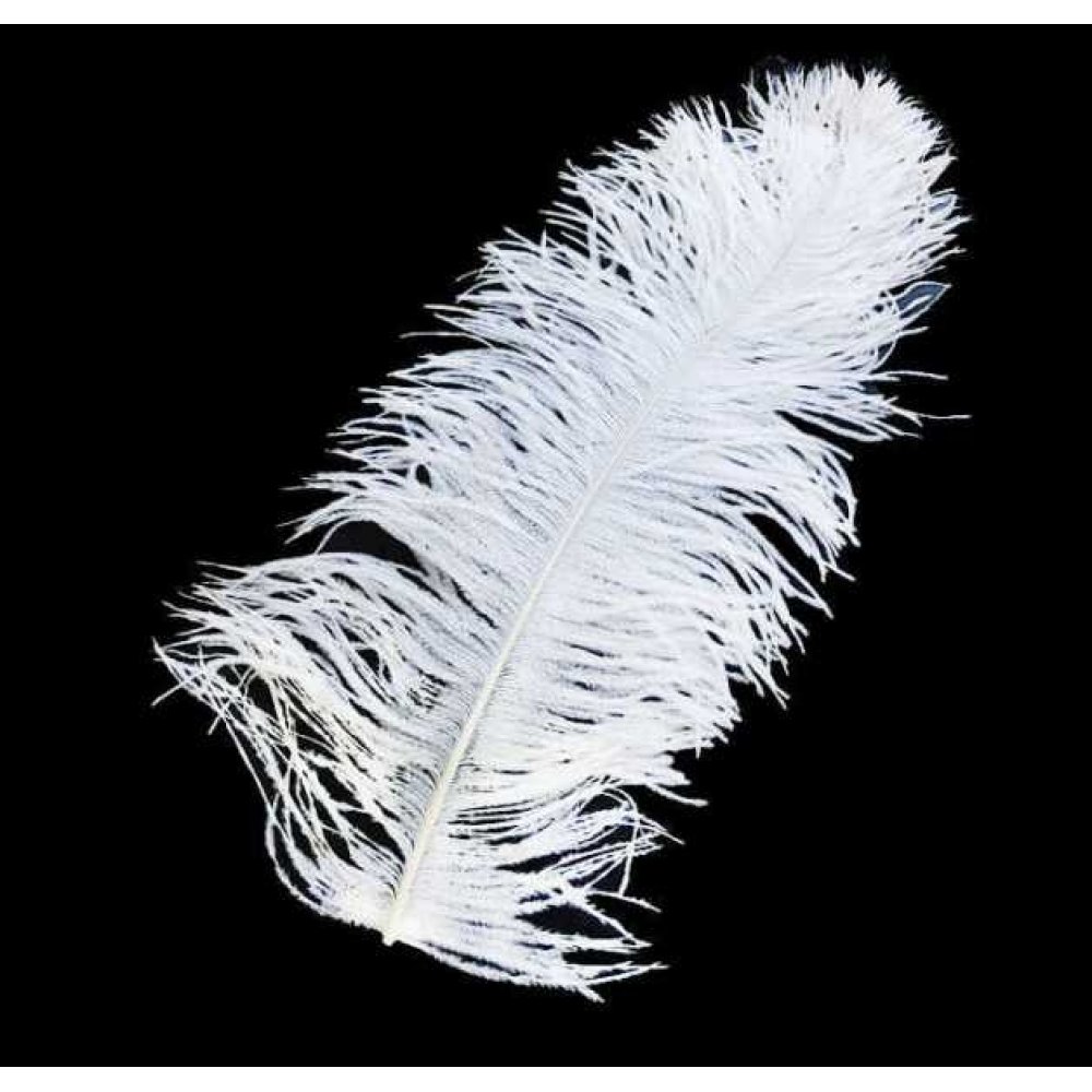Wholesale Big Feather For Wedding Pen