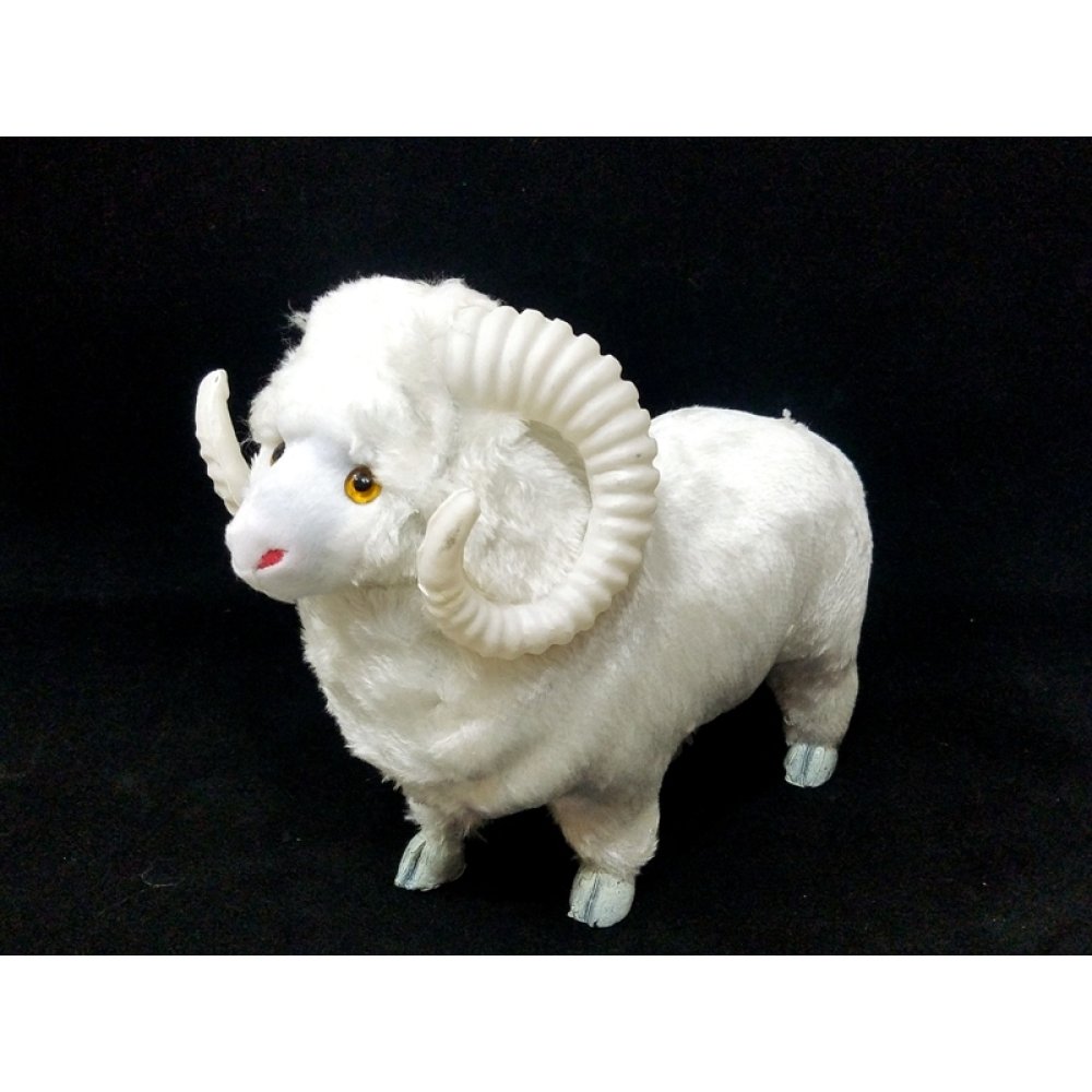 Wholesale Local Souvenirs Coach