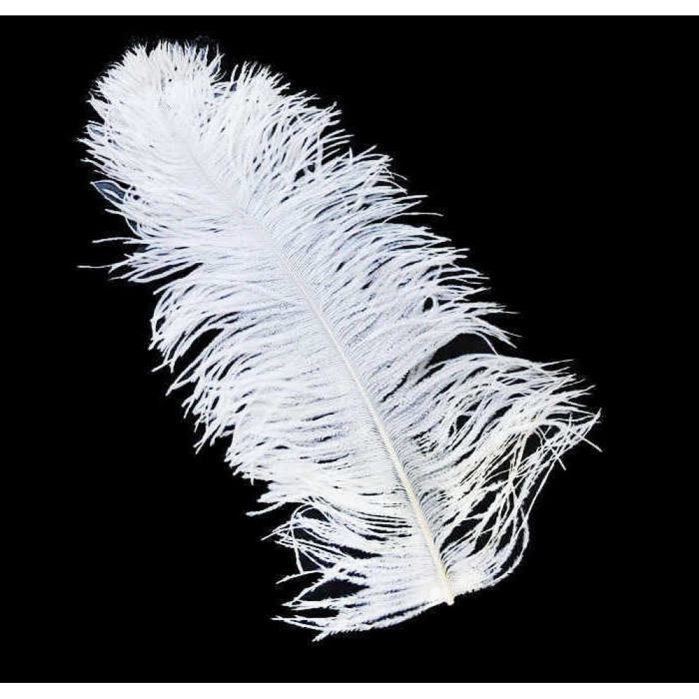 Feather (For Organization) 45*50Cm White Pk1 Kl:100
