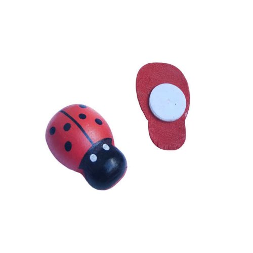 Ladybug Red P100-500