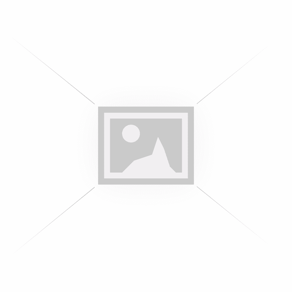 Wholesale Cute Cat Medium Size Snow Globe